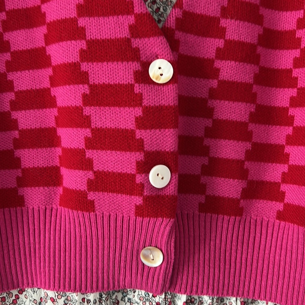 nwot Cider sweater